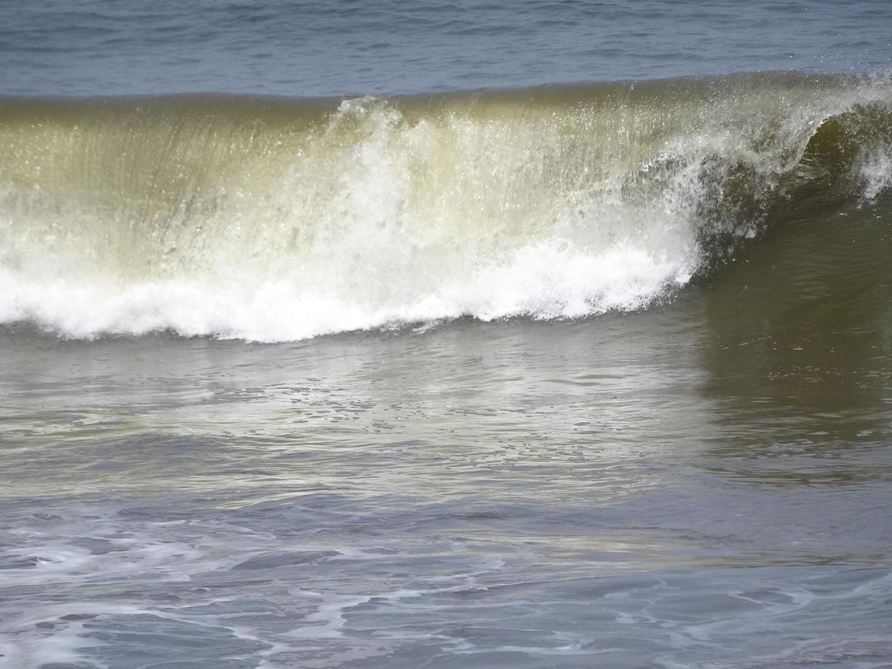 Amssler Beach Stay Kalutara Zewnętrze zdjęcie